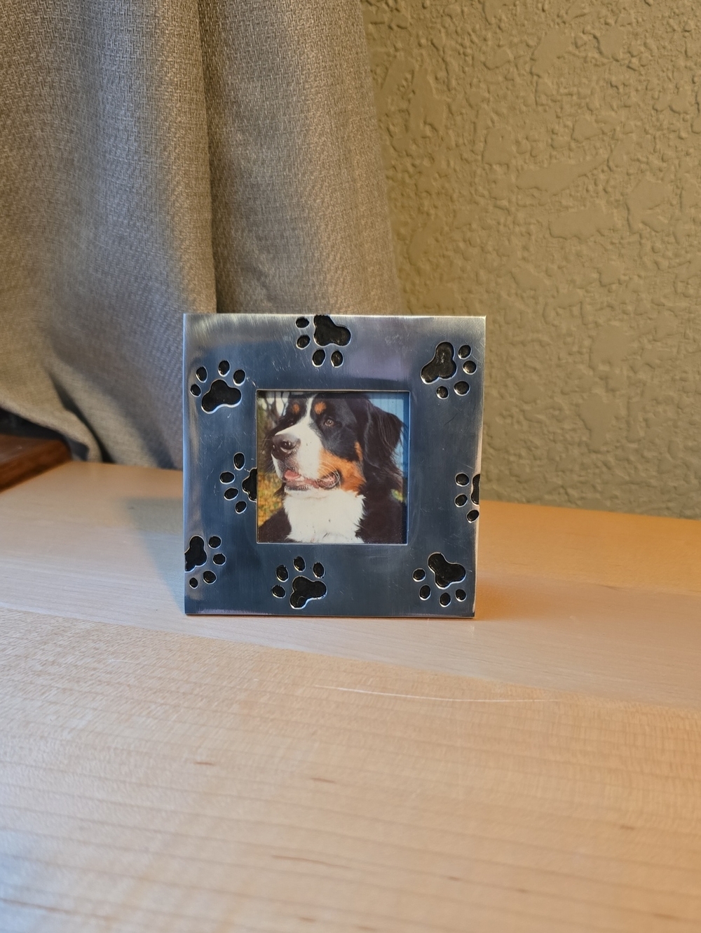 Stainless Steel Paw Print Dog Photo Frame - Black Paw Accents